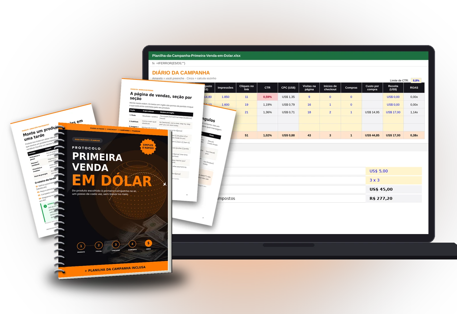 O protocolo em PDF e a planilha da campanha